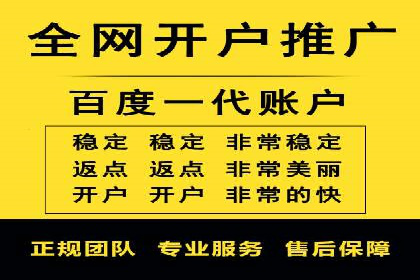 竞价推广代运营成功案例分析
